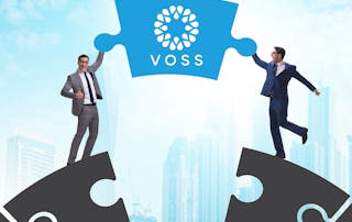 Image from License Assigned to License Activated: Bridging the Digital Consumption Gap blog - shows 2 business men on a bridge made of puzzle pieces with a gap and the VOSS puzzle piece fills the void