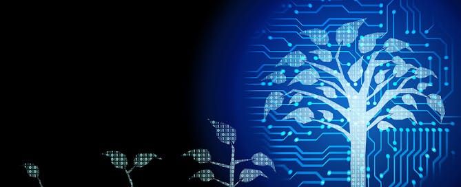 Background,Of,Abstract,Fintech,Startup,Business,Growth,Transformation,Innovation,To Digital maturity business growth transformation innovation to digital represented by digital trees in stages of growth.