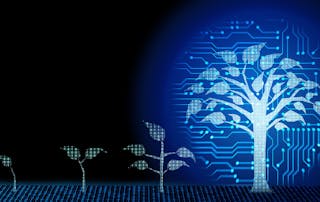 Digital maturity business growth transformation innovation to digital represented by digital trees in stages of growth.