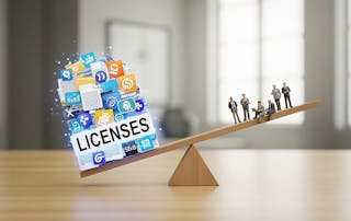 overpurchasing license types, underutilized services compared to number of users - image shows licenses on a scale far heavier than numbr of users
