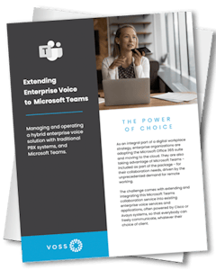 Microsoft Enterprise voice
