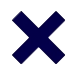 Navy Cross Icon