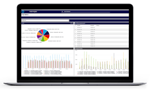 VOSS Insights NetFlow reports in action - screenshot on Macbook