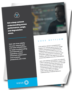 VOSS NetFlow product brochure cover image