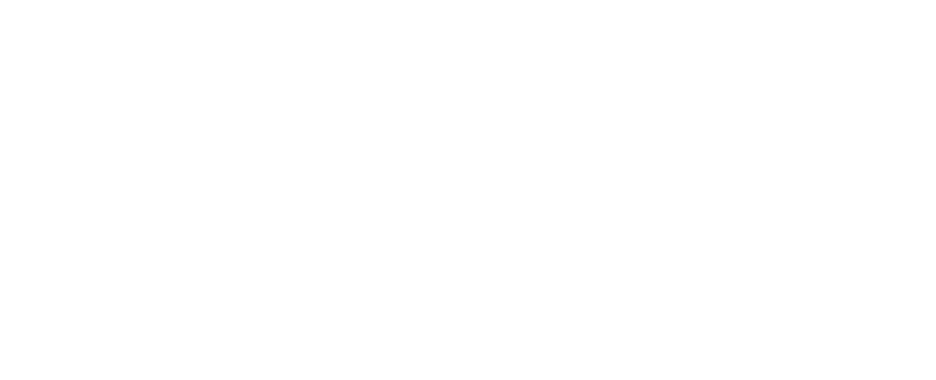 VOSS logo horizontal in white
